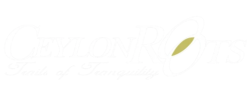 unnamed-1-scaled (1)